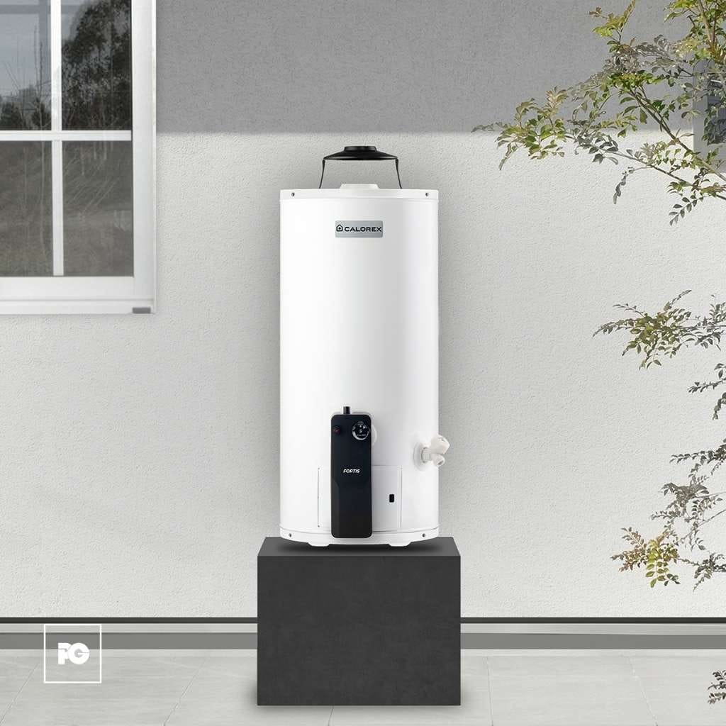 Boiler de depósito Fortis de gas LP para 1 servicio. - Imagen 3