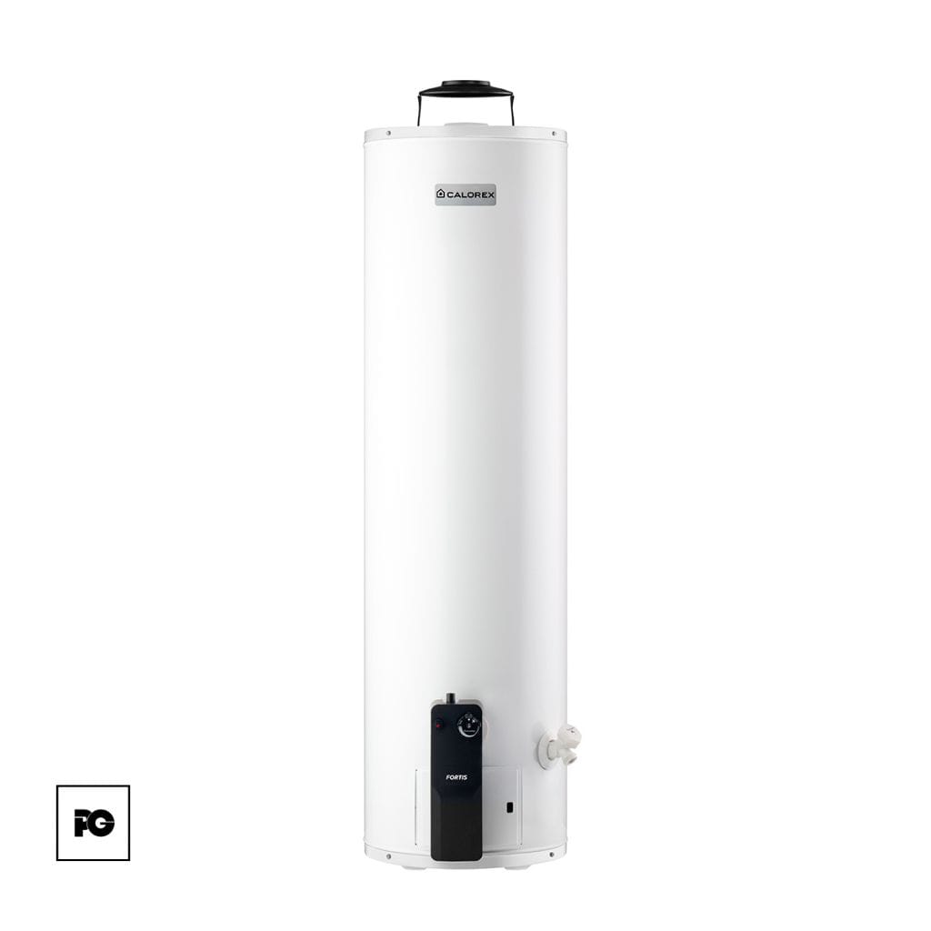Boiler de depósito Fortis de gas natural para 2 servicio.